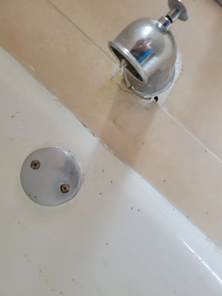 Slide of Benjamin Franklin Plumbing®