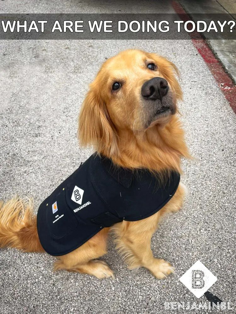 Slide of BenjaminBL Plumbing