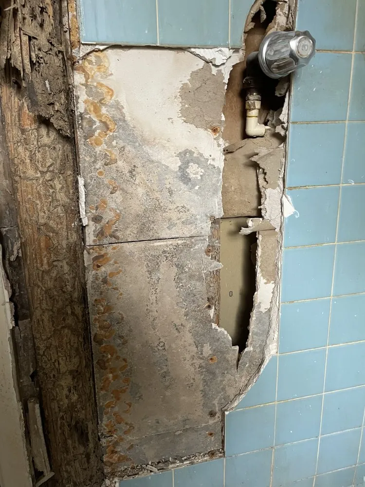 Slide of Benn There Did That Handyman