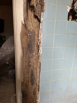 Benn There Did That Handyman Logo