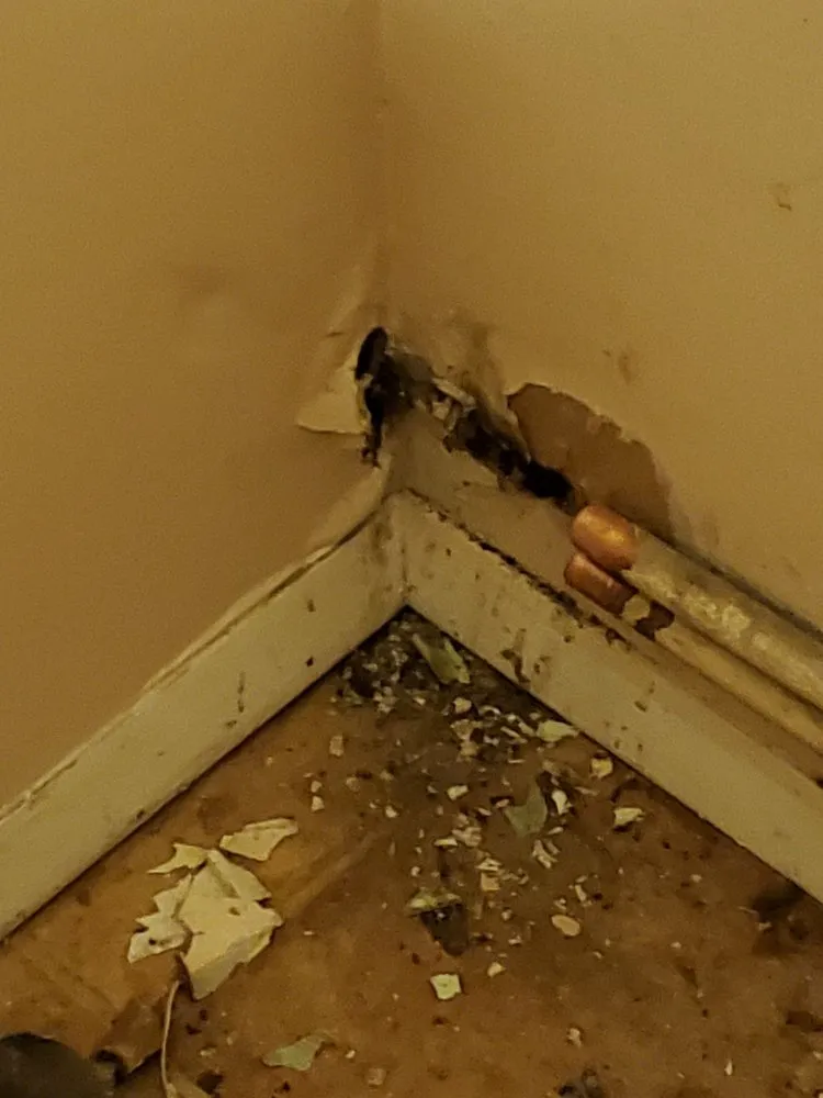 Slide of Bennett Sewer & More