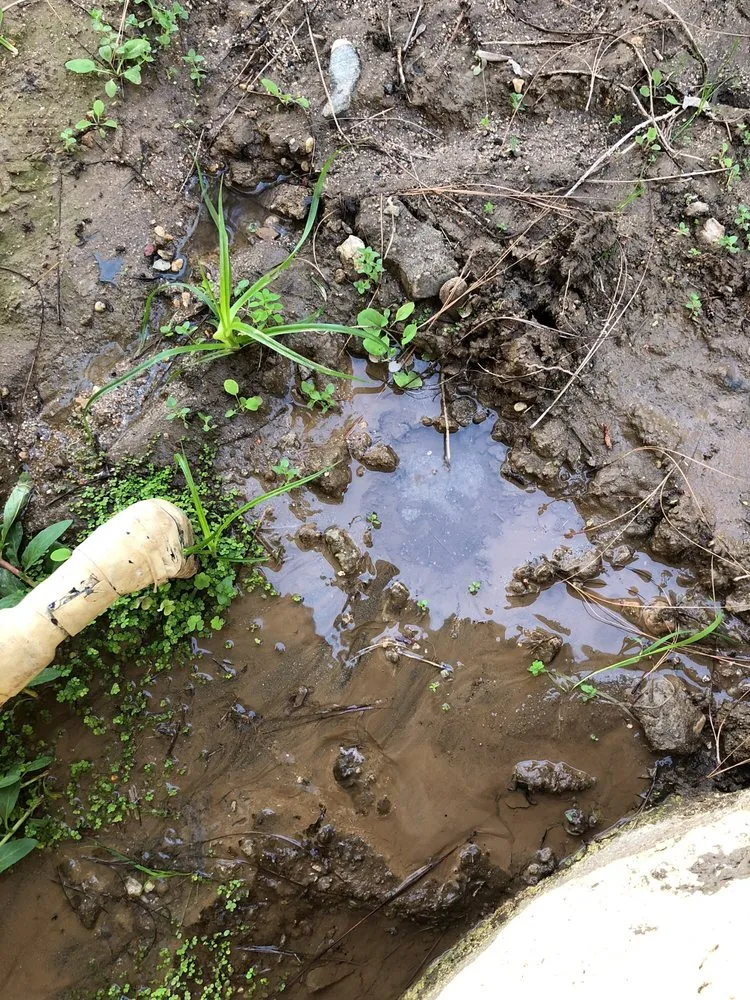 Slide of Ben's Plumbing and Rooter