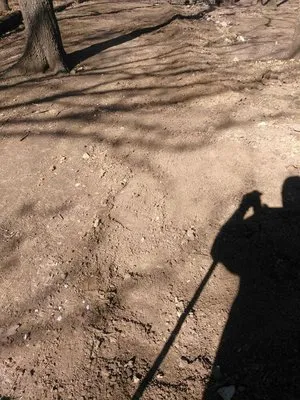 Benson's Drainage Solutions Logo