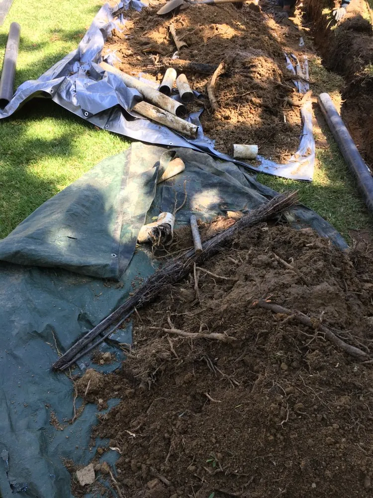 Slide of Bentley’s Plumbing