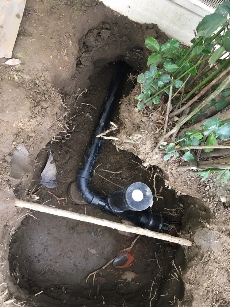 Slide of Bentley’s Plumbing