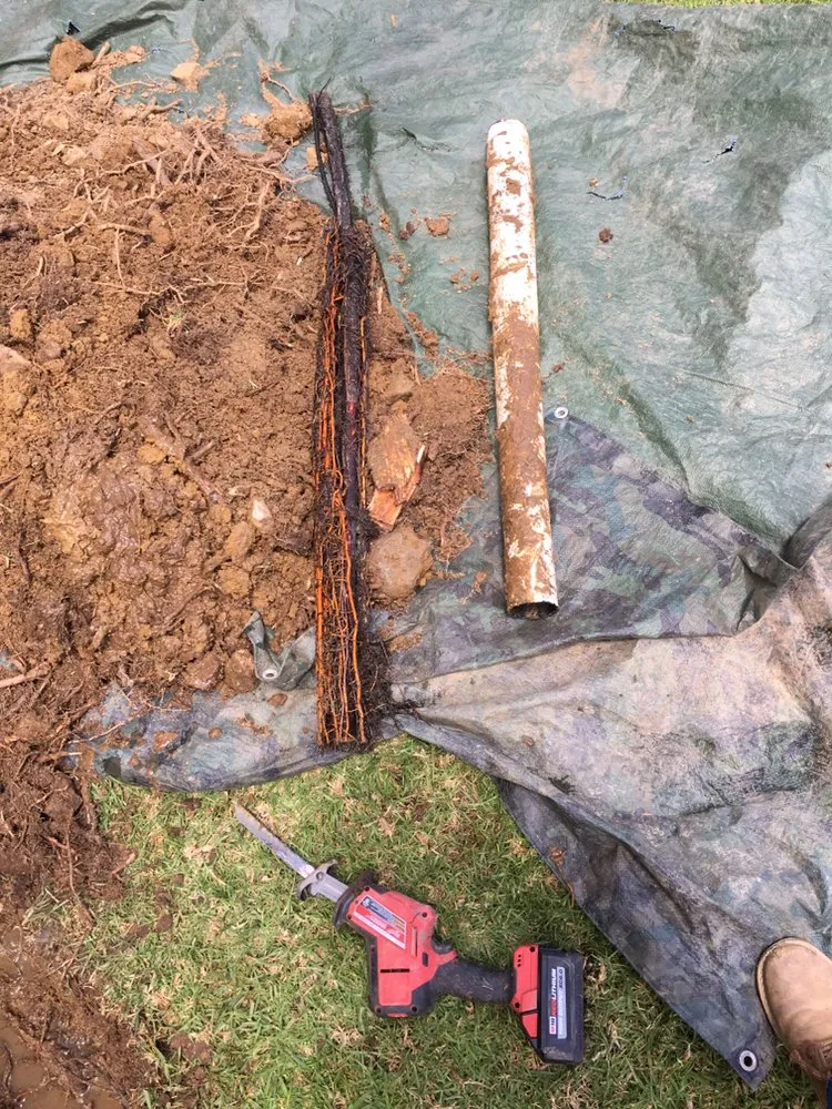 Slide of Bentley’s Plumbing