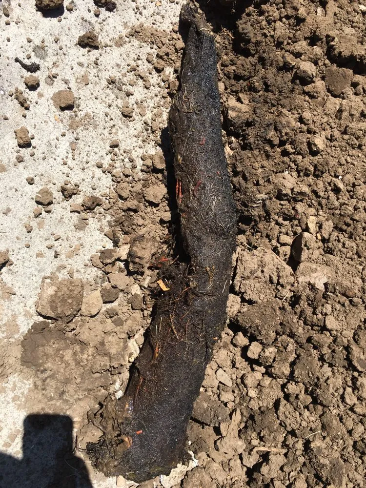 Slide of Bentley’s Plumbing