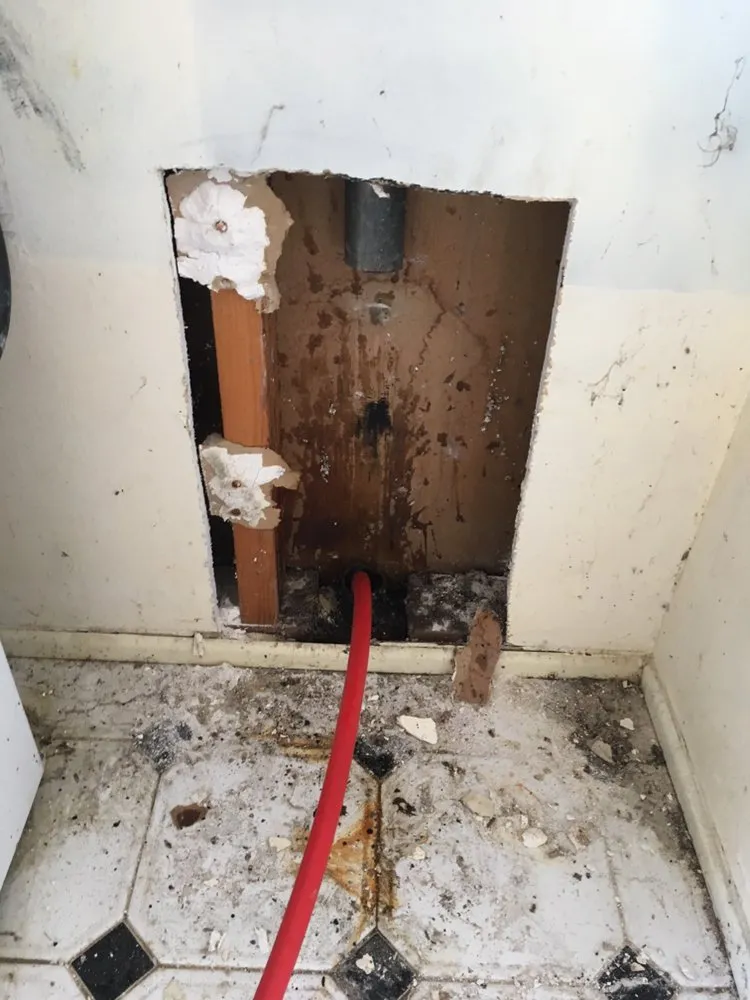 Slide of Bentley’s Plumbing