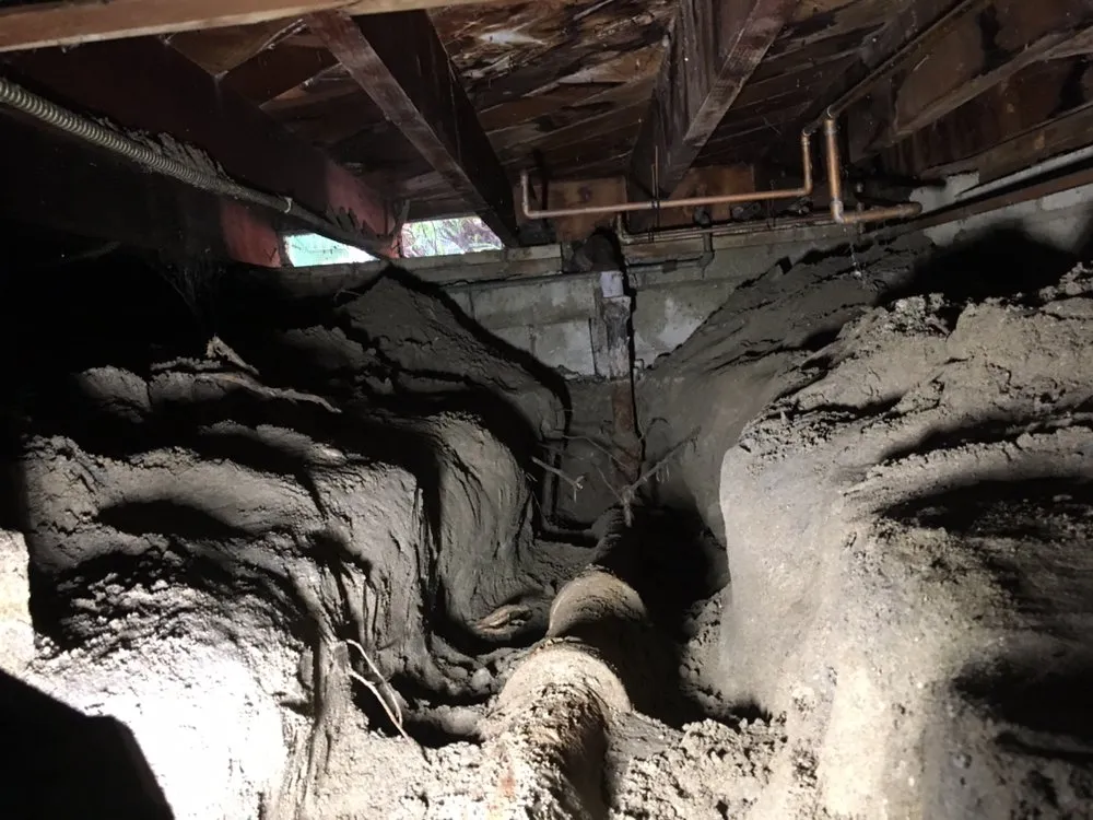 Slide of Bentley’s Plumbing