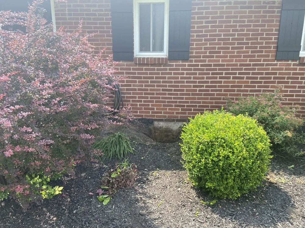 Slide of Berea Plumbing