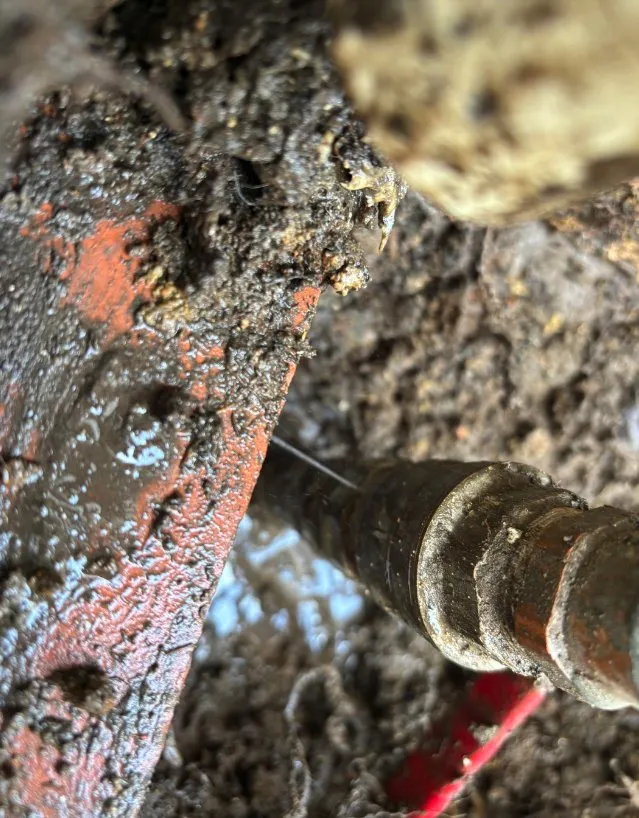 Slide of Berlim Handyman