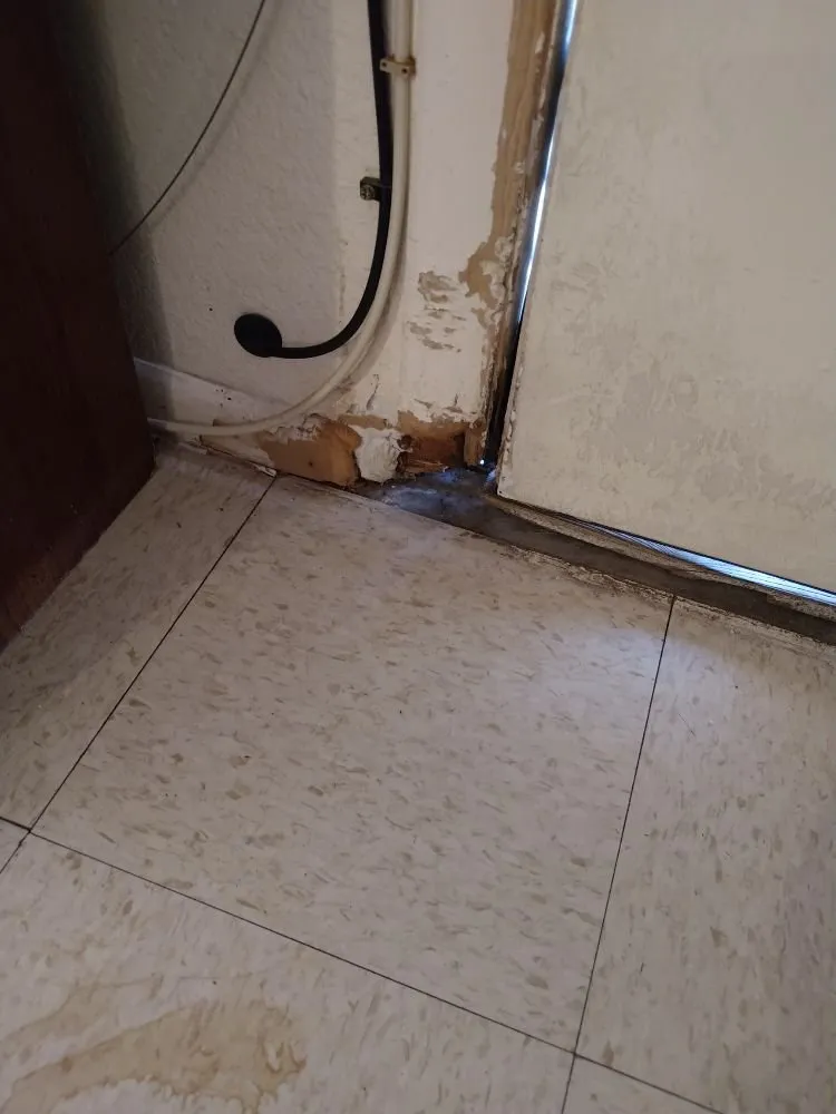 Slide of Bernal Handyman