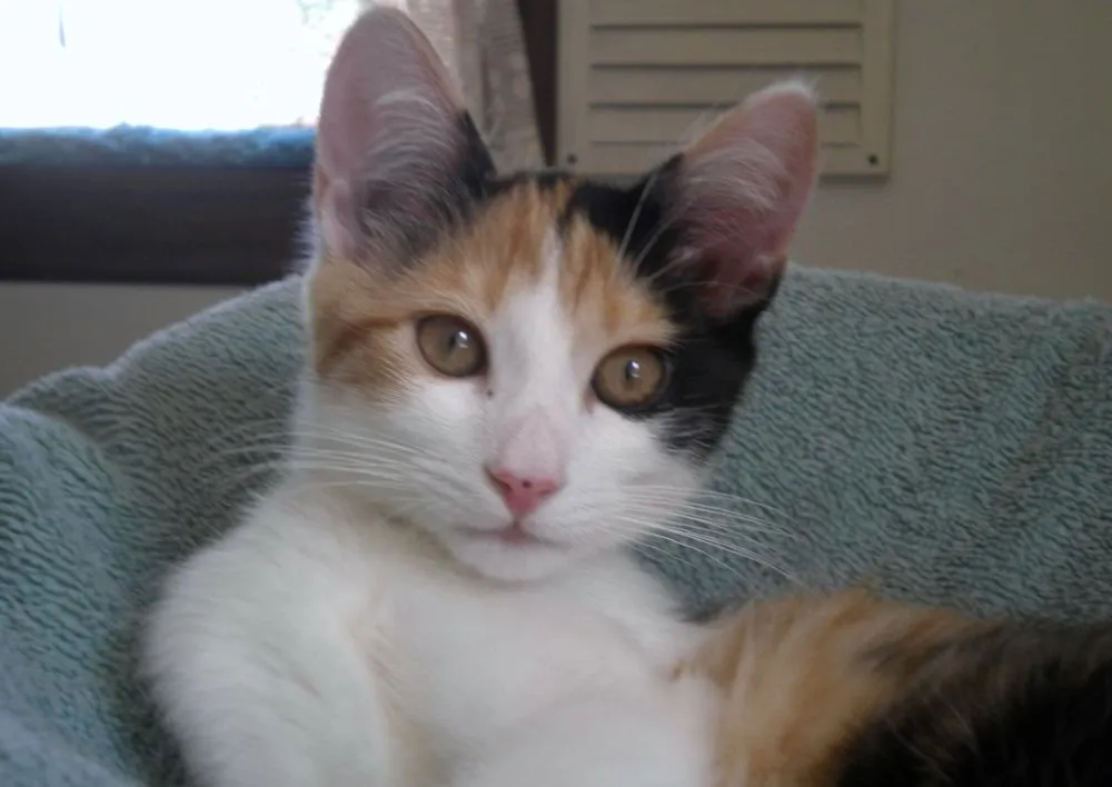 Slide of Bernie Gage Plumbing & Heating