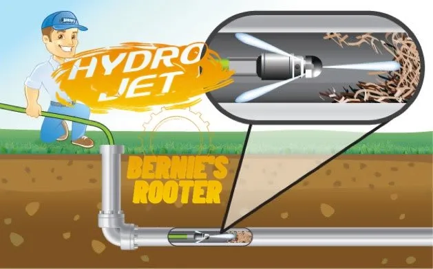 Slide of Bernie's Rooter