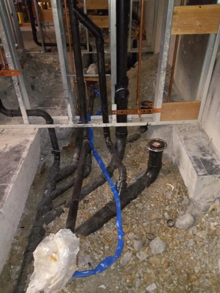 Slide of Bernie's Rooter