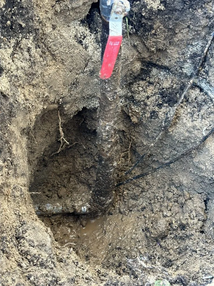 Slide of Bert’s Mega Plumbing