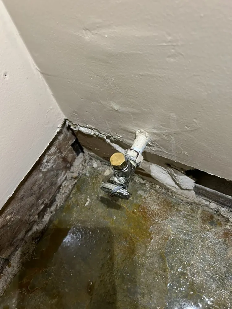 Affordable water heater service experts serving San Fernando, CA - Bert’s Mega Plumbing