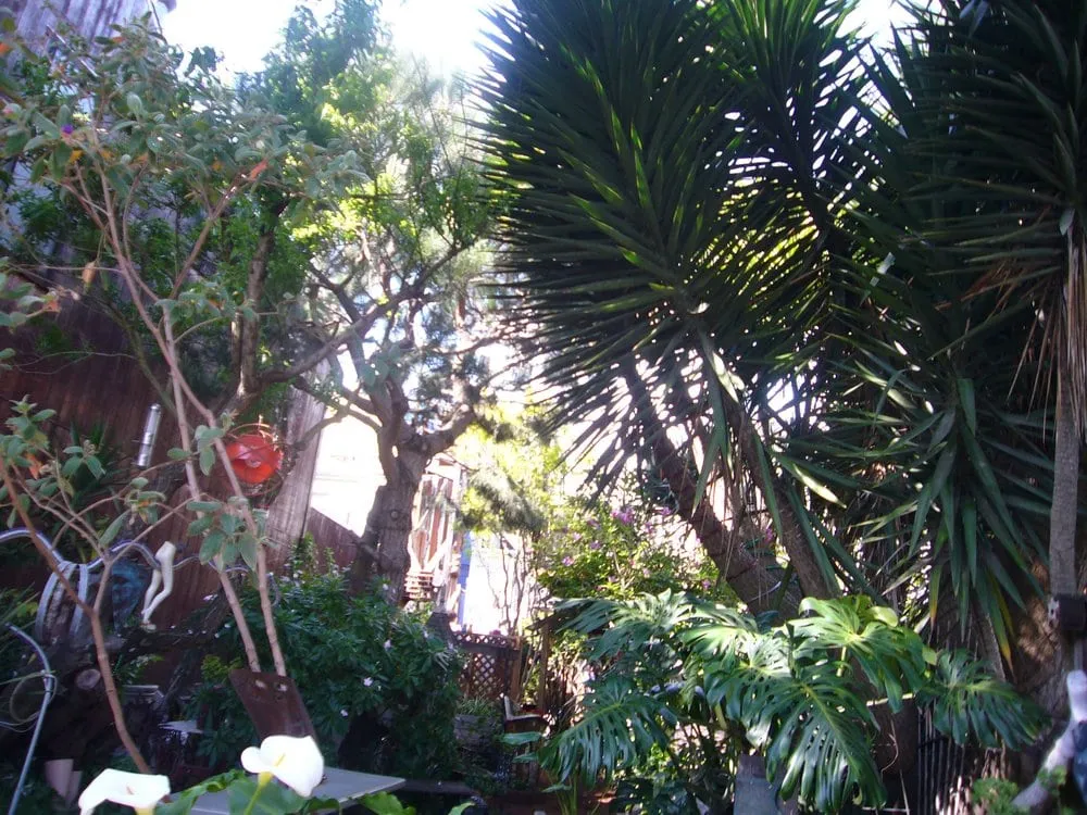 Slide of Bert’s Mega Plumbing