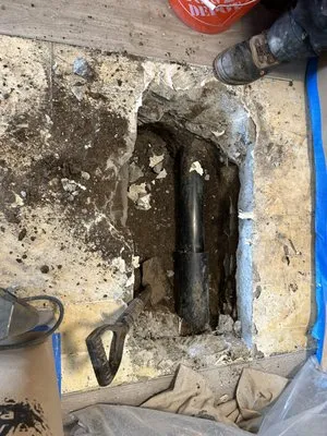 Bert’s Mega Plumbing