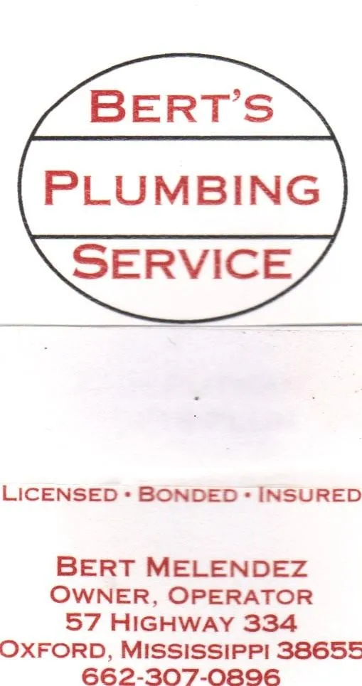 Slide of Bert's Plumbing Service, LLC