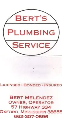 Bert's Plumbing Service, LLC
