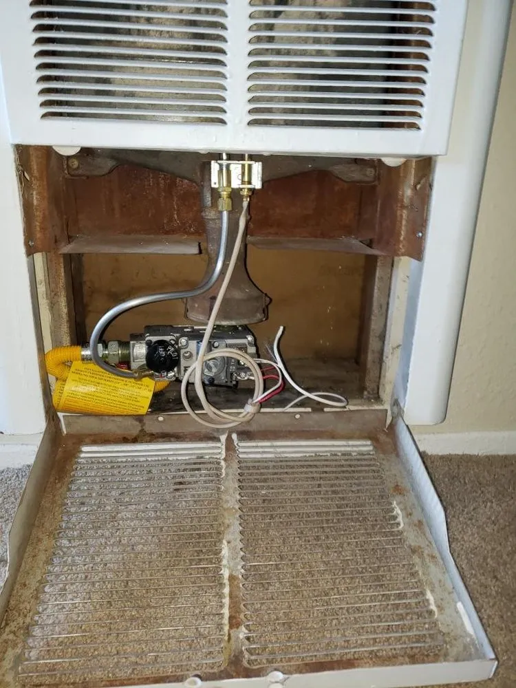 Slide of Best City Rooter