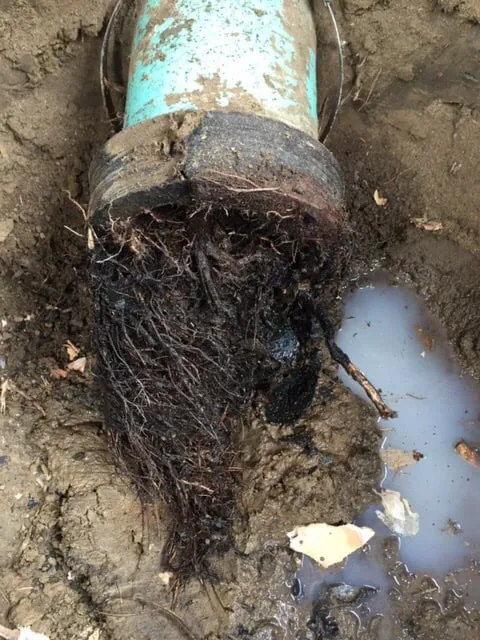 Slide of Best In The West Plumbing