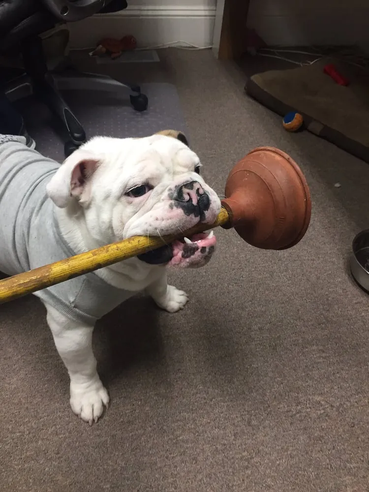 Slide of Best Mechanical