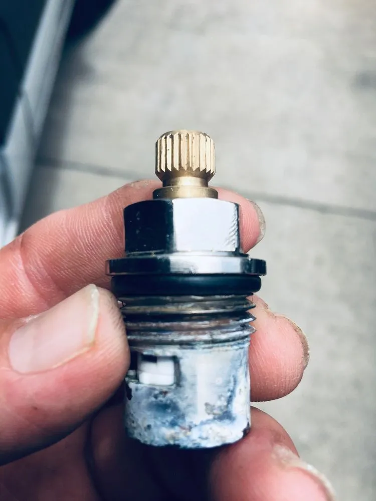 Slide of Best Option Rooter