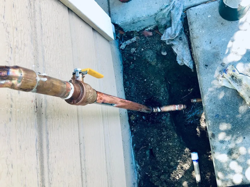 Slide of Best Option Rooter