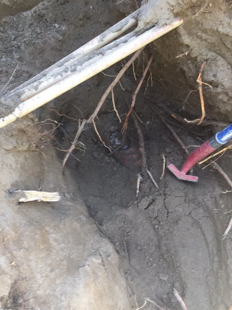 Slide of Best Price Plumbers