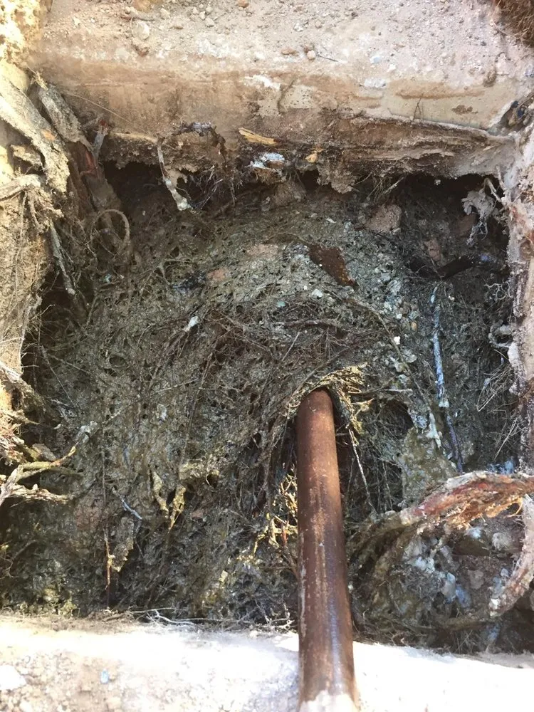 Trusted plumbing repair in Marana, AZ by Best Price Plumbing