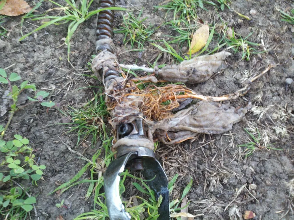 Slide of Bestop Plumbing & Drain