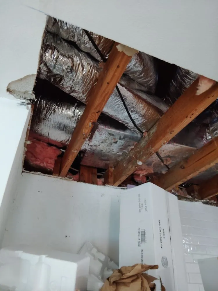 Emergency drain cleaning for homes in St. Petersburg, FL by Bethel's property maintenance
