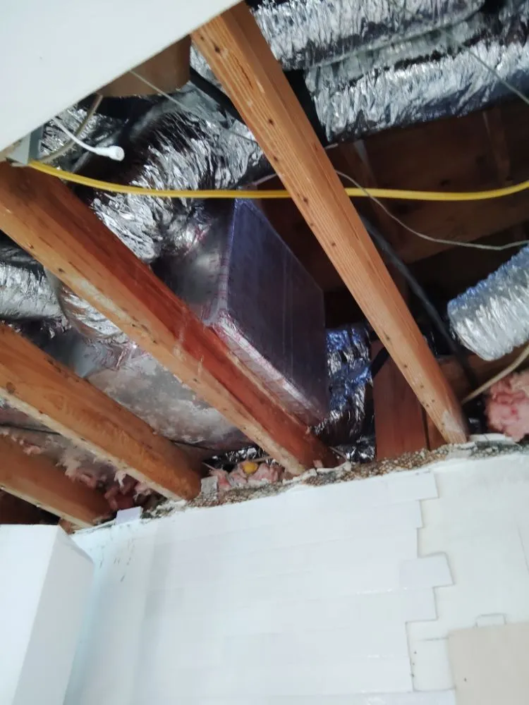 Emergency water heater service service in St. Petersburg, FL - Bethel's property maintenance