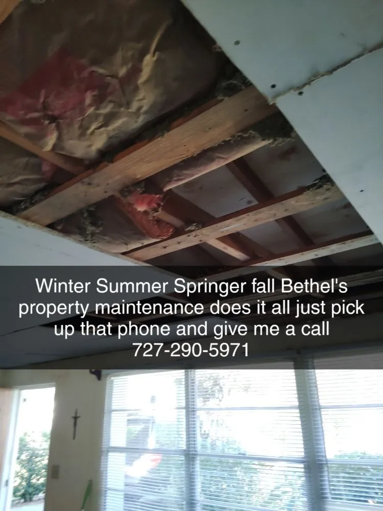 Expert emergency plumbing for homes in St. Petersburg, FL by Bethel's property maintenance