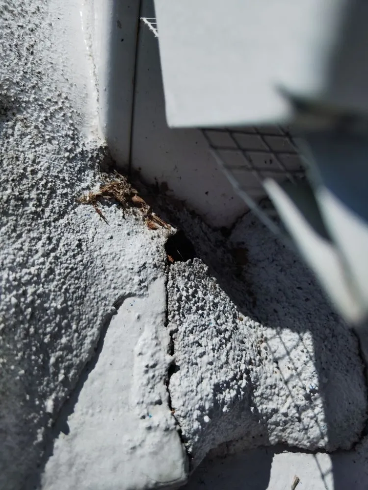 Quality plumbing repair service in St. Petersburg, FL - Bethel's property maintenance