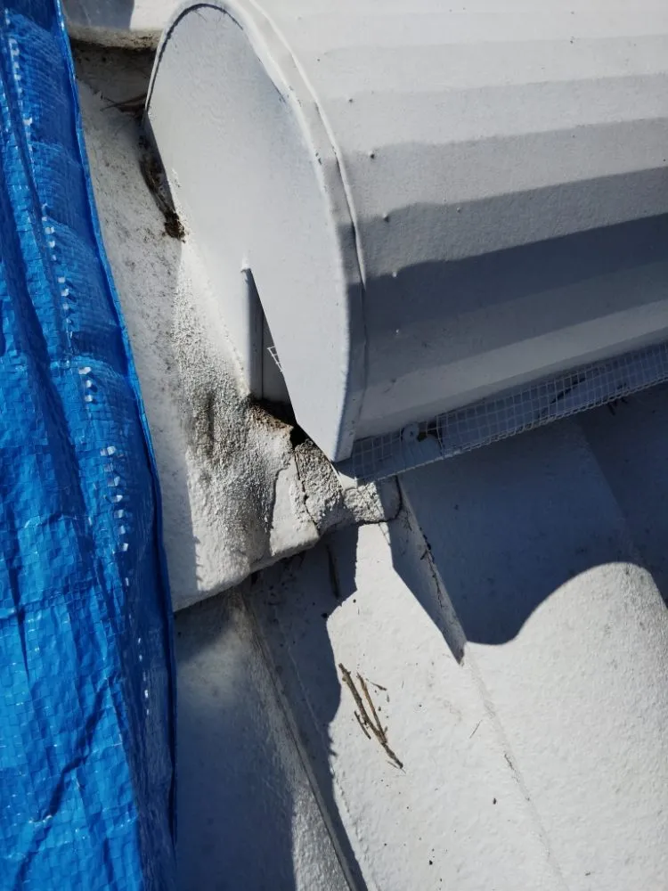 Reliable pipe repair service in St. Petersburg, FL - Bethel's property maintenance