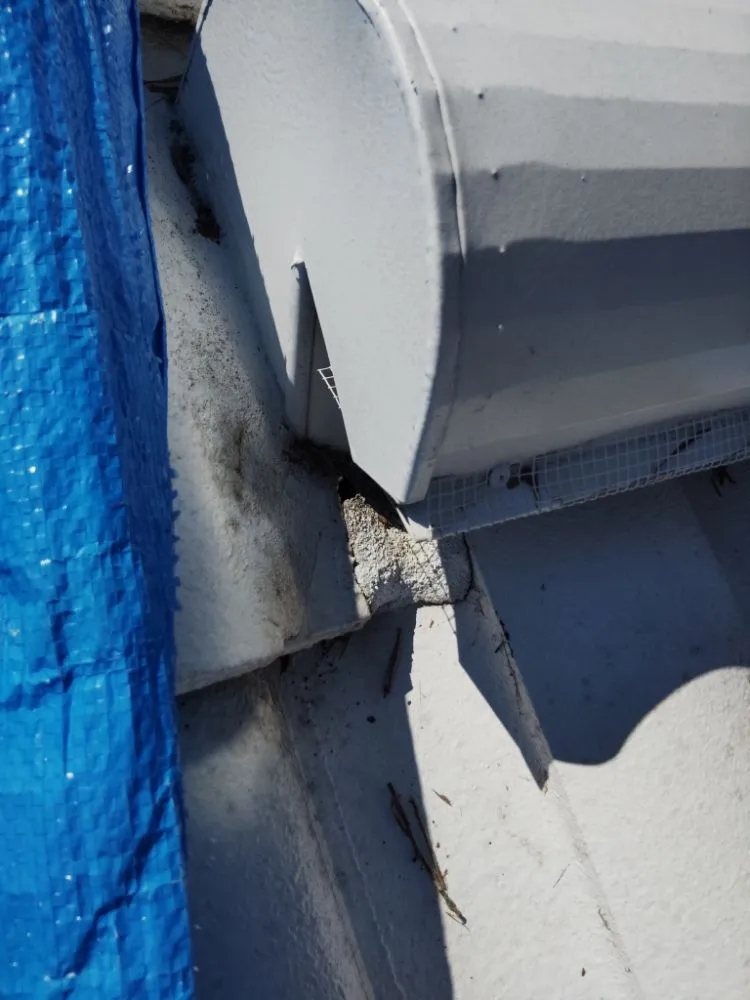 Trusted drain cleaning for homes in St. Petersburg, FL by Bethel's property maintenance