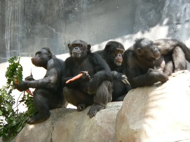 Top-rated drain cleaning experts serving Sacramento, CA - Better B Plumbing and Drain