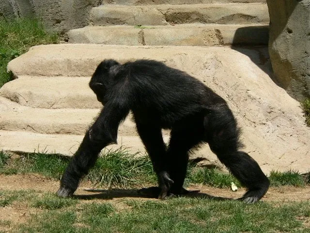 Slide of Better B Plumbing and Drain