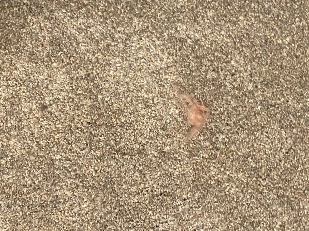 Slide of Beutler Air Conditioning and Plumbing