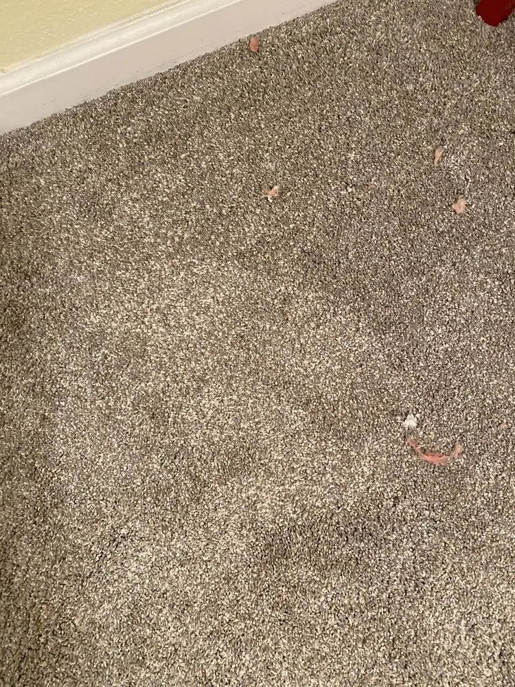 Expert leak detection service in Sacramento, CA - Beutler Air Conditioning and Plumbing