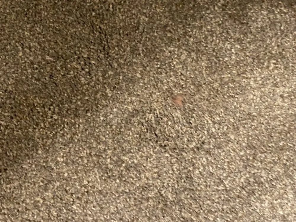 Slide of Beutler Air Conditioning and Plumbing