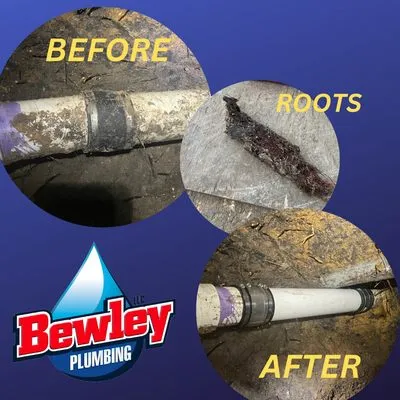Bewley Plumbing Logo