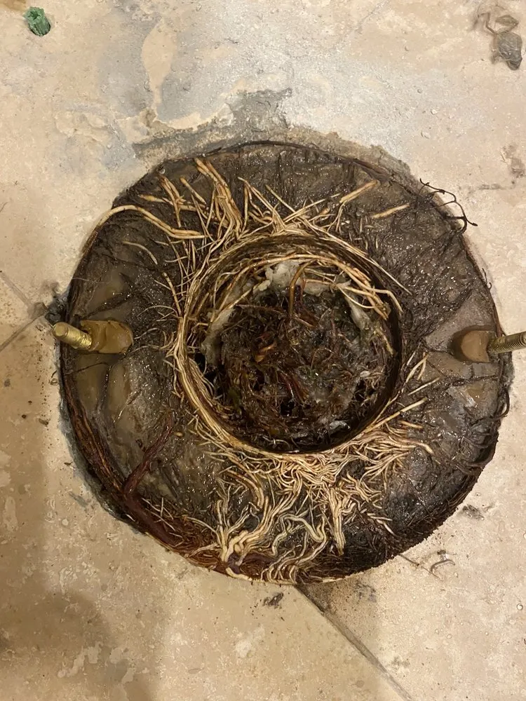 Slide of Beyond Cool Plumbing