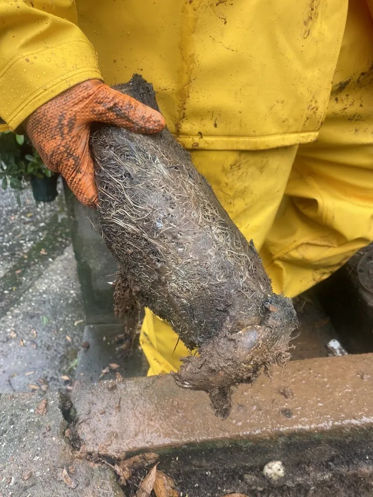 Slide of Beyond Cool Plumbing