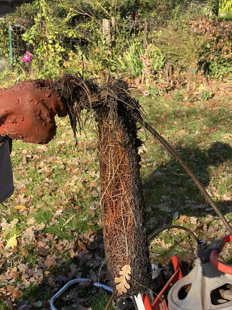 Slide of Beyond Cool Plumbing