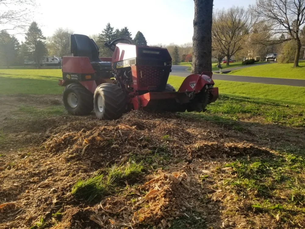 Slide of BFH Services