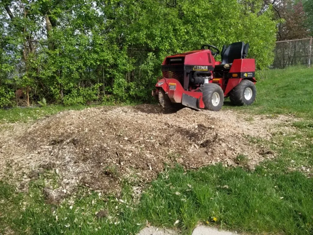 Slide of BFH Services